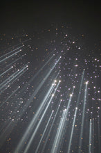Load image into Gallery viewer, MH Akashic Record 30 minute Reading with Melanie Herring
