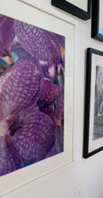 Load image into Gallery viewer, B2 Vanda, Jill Freedman Print