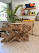 Load image into Gallery viewer, Guanacaste Root Console