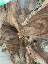 Load image into Gallery viewer, Guanacaste Root Console