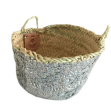 Load image into Gallery viewer, AB Silver Sequin Basket