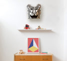 Load image into Gallery viewer, OMY Tiga Coloring Mask