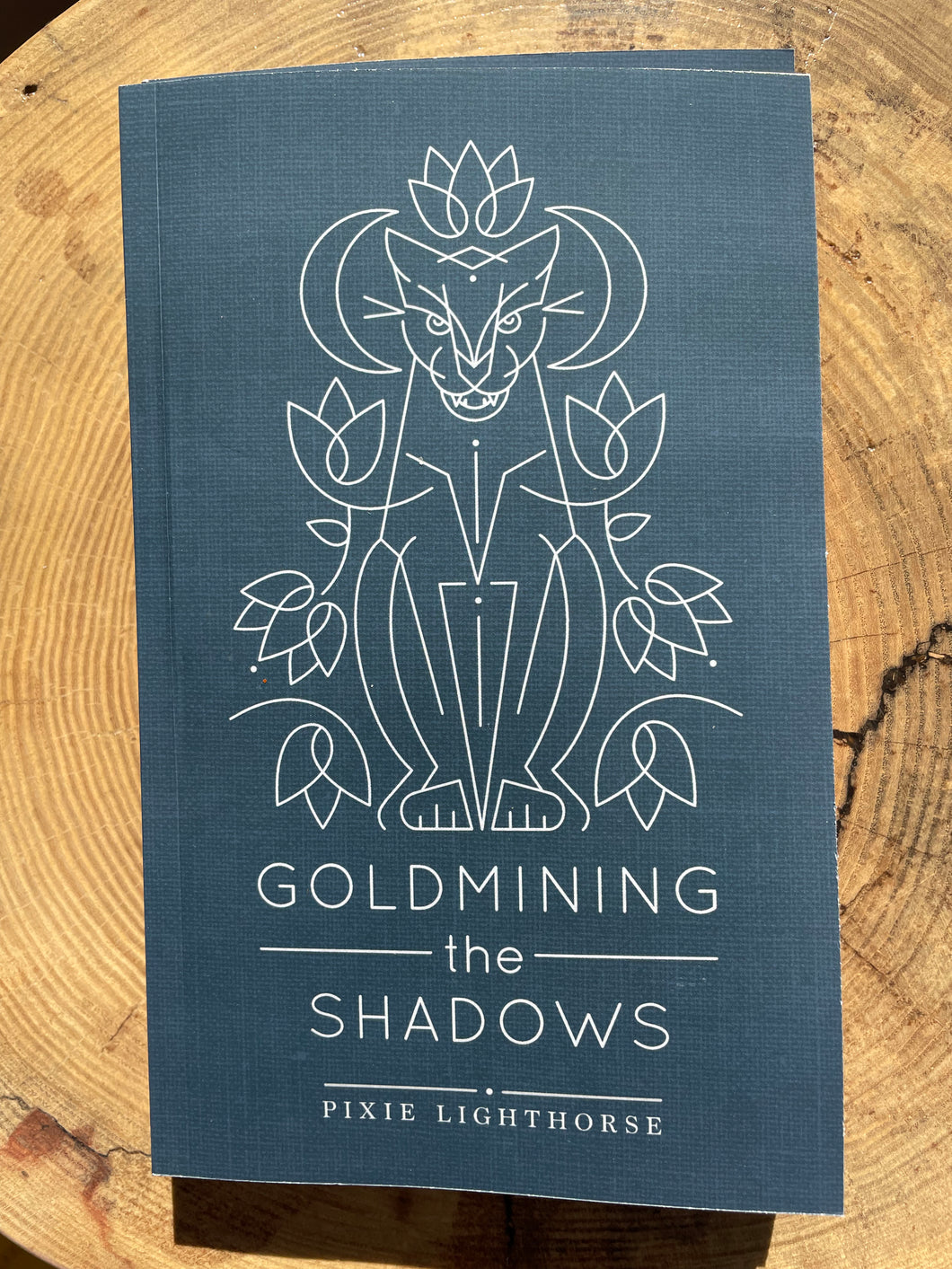Goldmining The Shadows