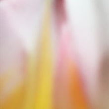 Load image into Gallery viewer, Abstract Floral Archival Pigment Print
